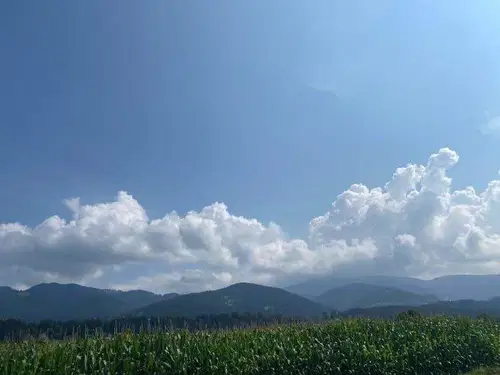 Prazniki bodo sončni z jutranjo meglo