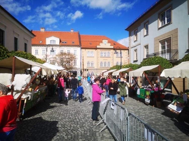 Obiskovalci mestnega jedra v Slovenj Gradcu uživali ob ekoloških dobrotah