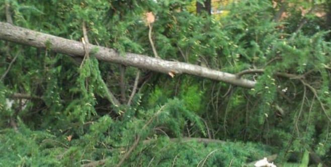 Včeraj neurje povzročalo težave tudi na Koroškem. Kakšno vreme bo danes?