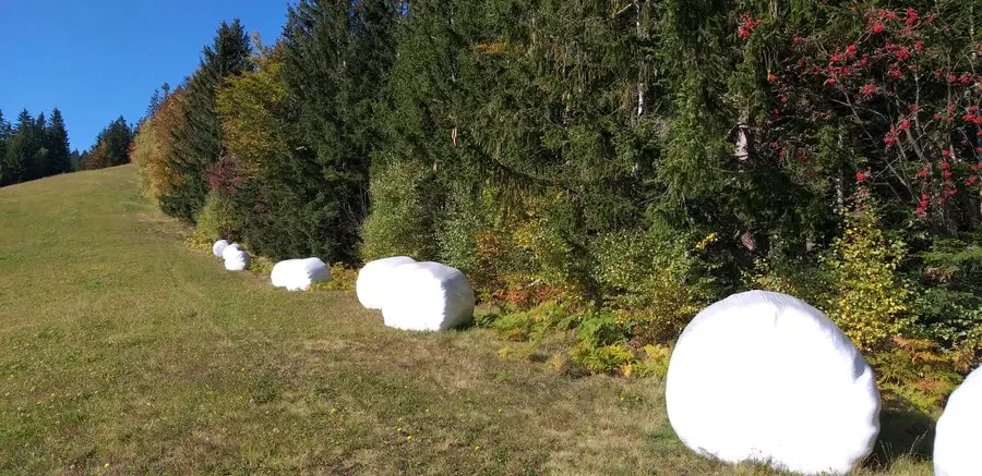 Poziv kmetom k oddaji vlog za pridobitev enkratne solidarnostne pomoči