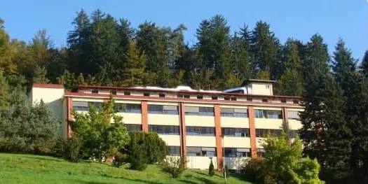 Centralno bolnišnico za bolnike s covidom-19 nameravajo vzpostaviti v Bolnišnici Topolšica