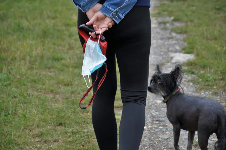 Višje sodišče v Kopru ustavilo postopek zoper oglobljenega zaradi neuporabe maske