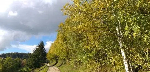 Na Koroškem velika požarna ogroženost naravnega okolja