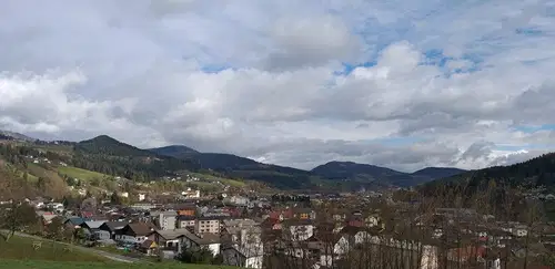 V nedeljo v Sloveniji potrdili 480 novih okužb, na Prevaljah 16