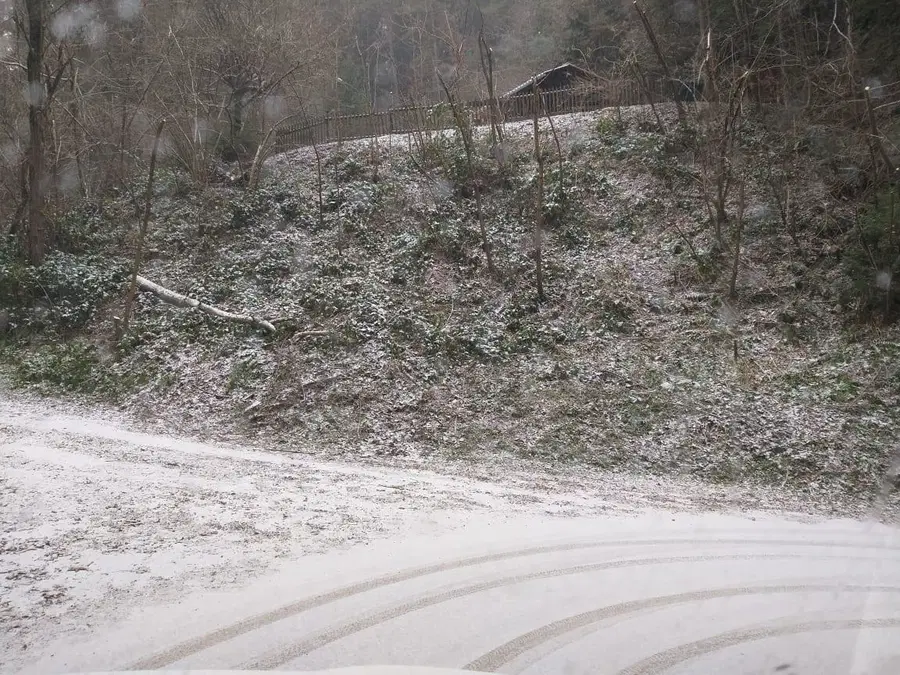 V noči na torek sneg do nižin