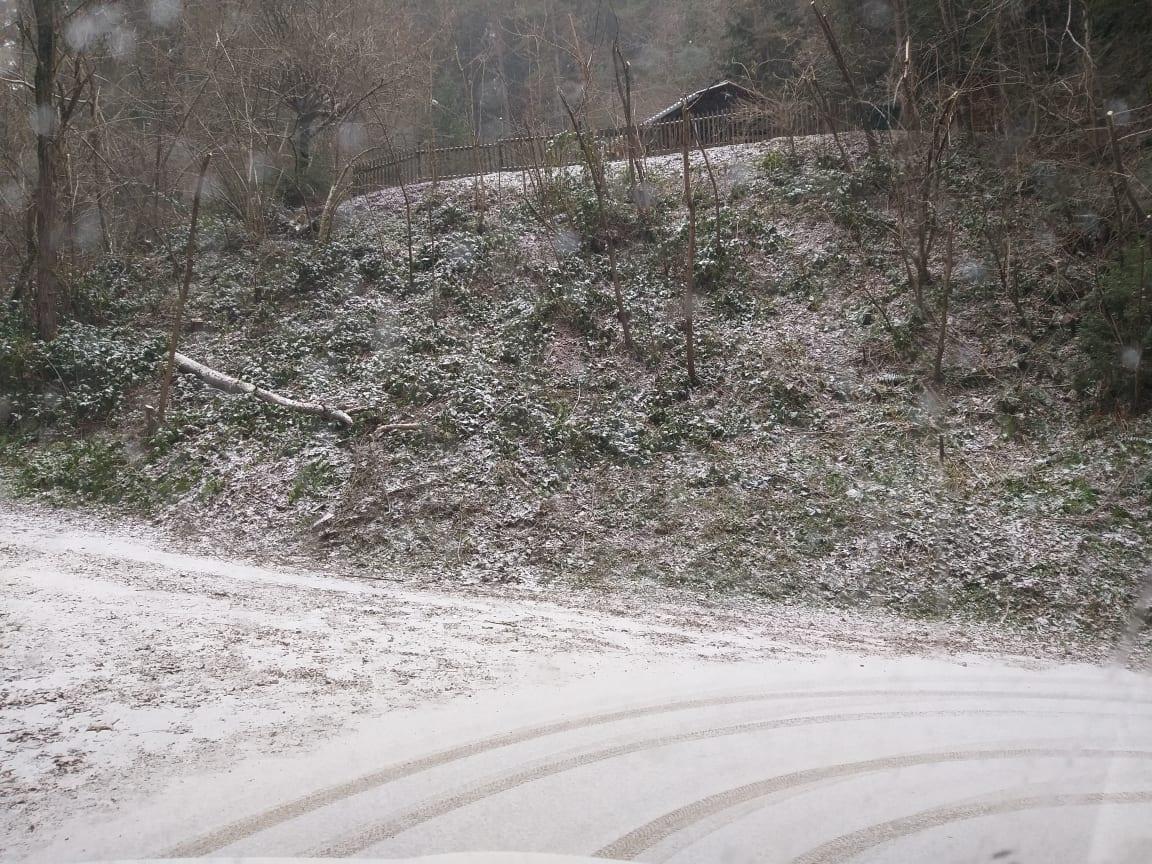 V noči na torek sneg do nižin