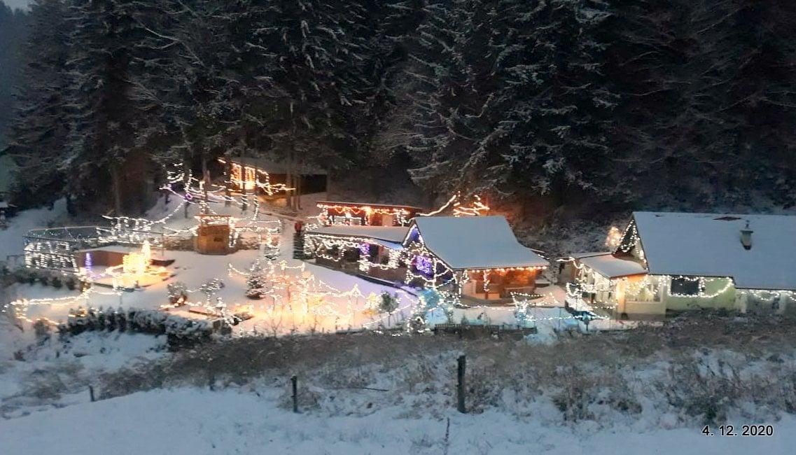 Zasijalo bo okoli 50.000 lučk na posestvu Tonija Štrigla