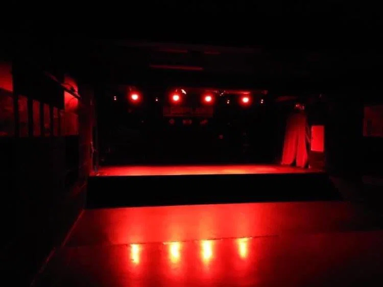 V živo boste lahko prisluhnili članom društva Dnevna soba studio