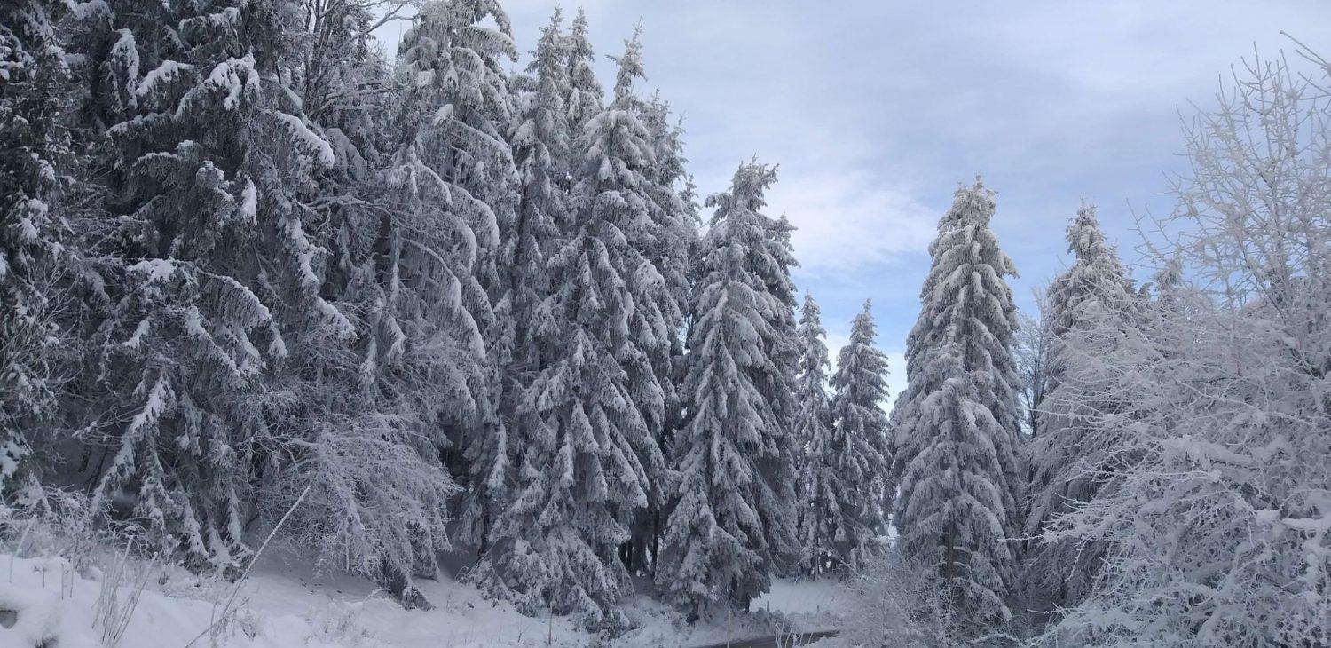 Vreme: Oblačno s sneženjem