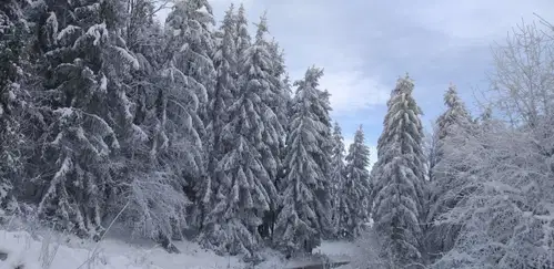 Vreme: Oblačno s sneženjem