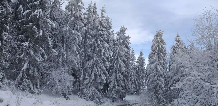 Vreme: Oblačno s sneženjem