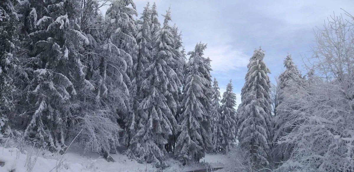 Vreme: Oblačno s sneženjem