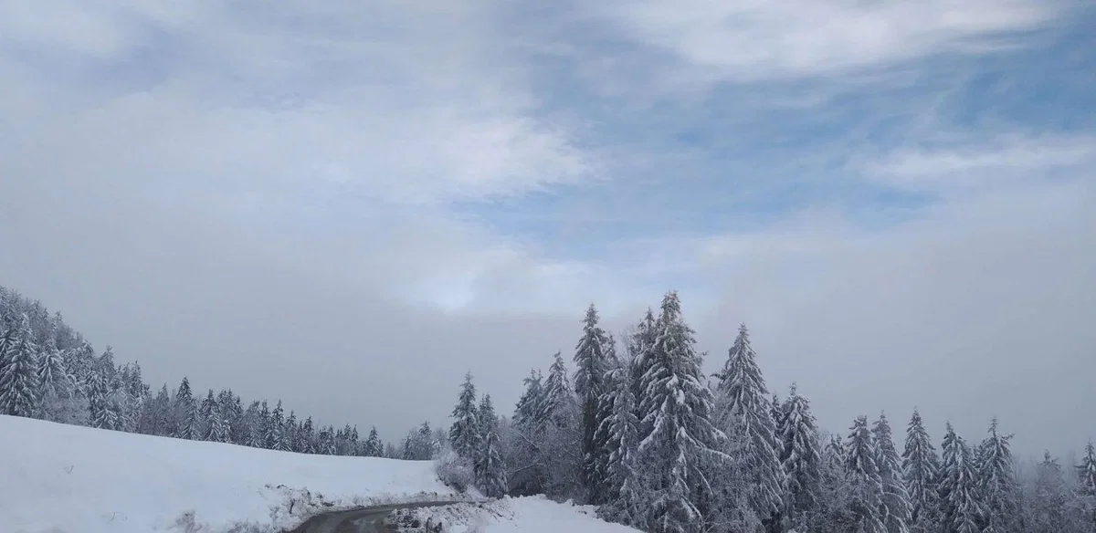 Popoldne se bo meja sneženja začela spuščati. Kje bo zapadlo največ snega?