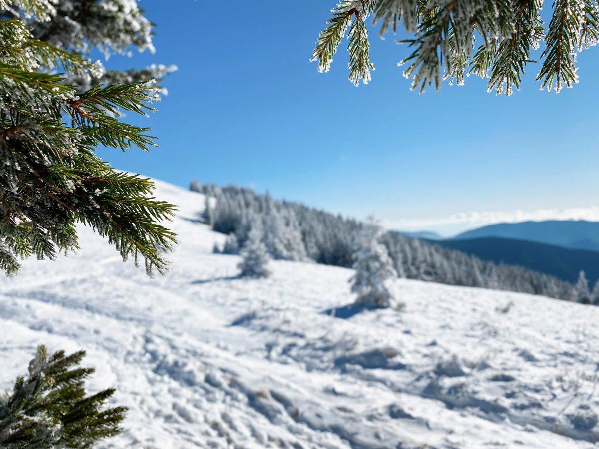 Po sobotnem velikem obisku priljubljenih točk policisti tudi danes v nadzor