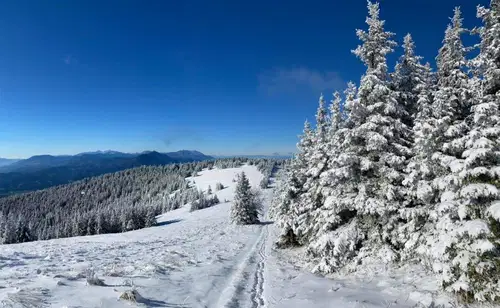 Količina padavin bo zelo majhna, sneg pa suh in lahek
