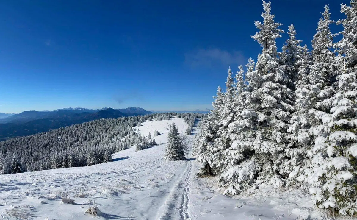 Količina padavin bo zelo majhna, sneg pa suh in lahek