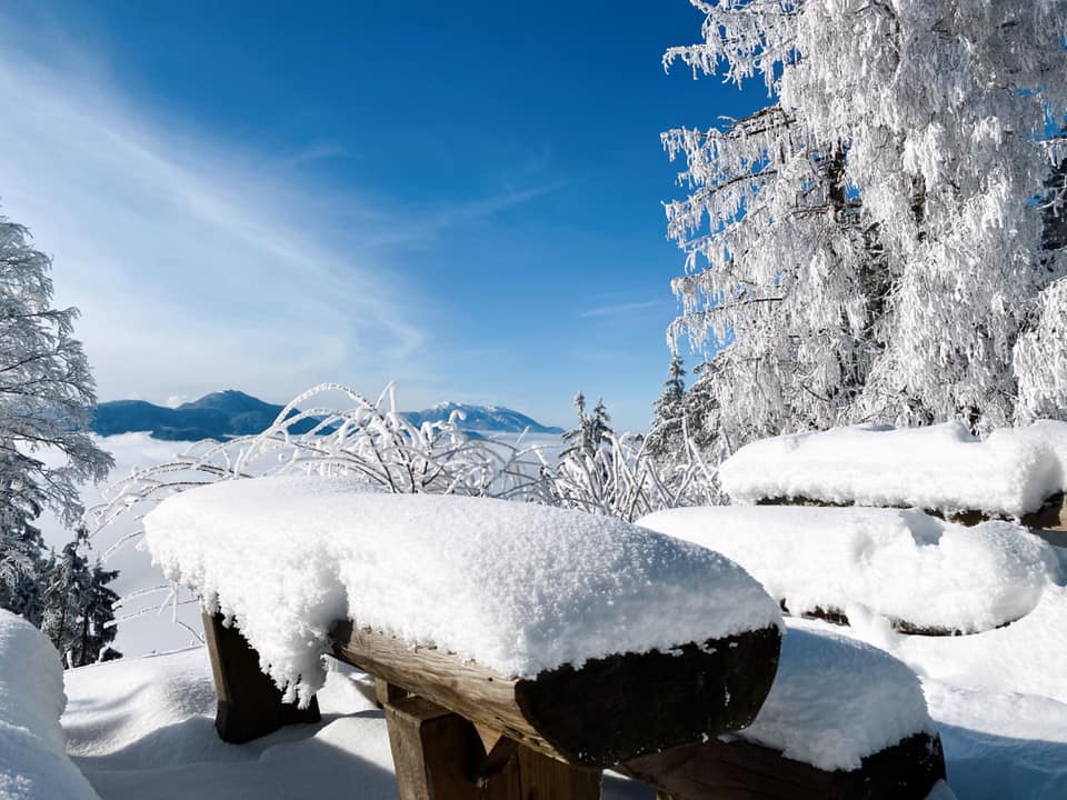 NIJZ s priporočili prebivalcem za ravnanje v mrzlem vremenu