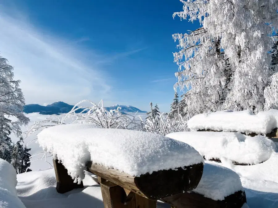 V teh krajih bo zapadlo največ snega. Ponekod bo povsem zimsko, sneg se bo oprijemal cest