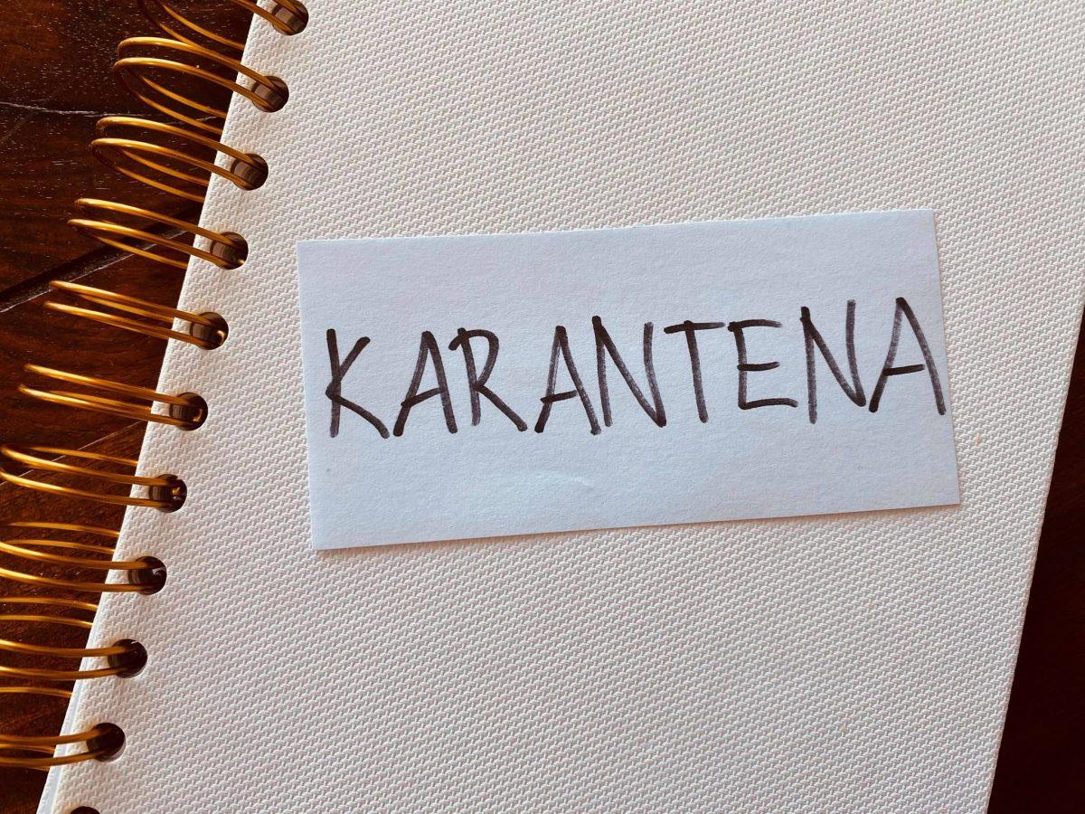 Beseda leta je karantena