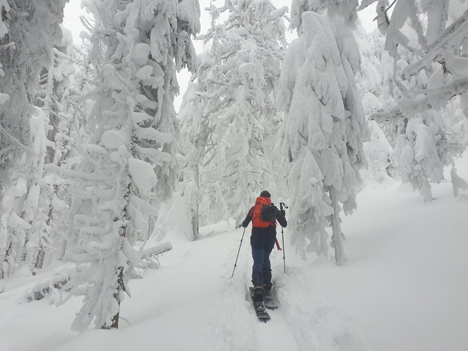 "Ta prava zima" v okolici Črne na Koroškem
