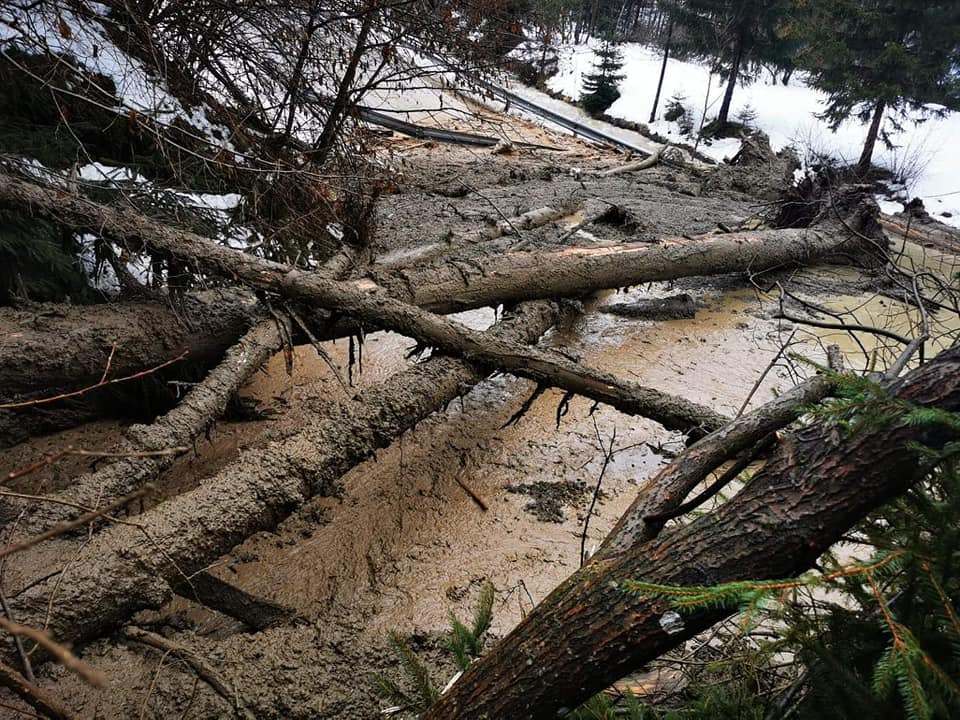 Plazovi na Koroškem zaprli več cest, na območju Slovenj Gradca večja skala ovirala promet