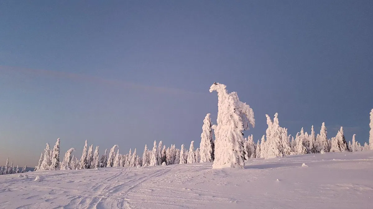 Zimska pravljica na Črnem vrhu
