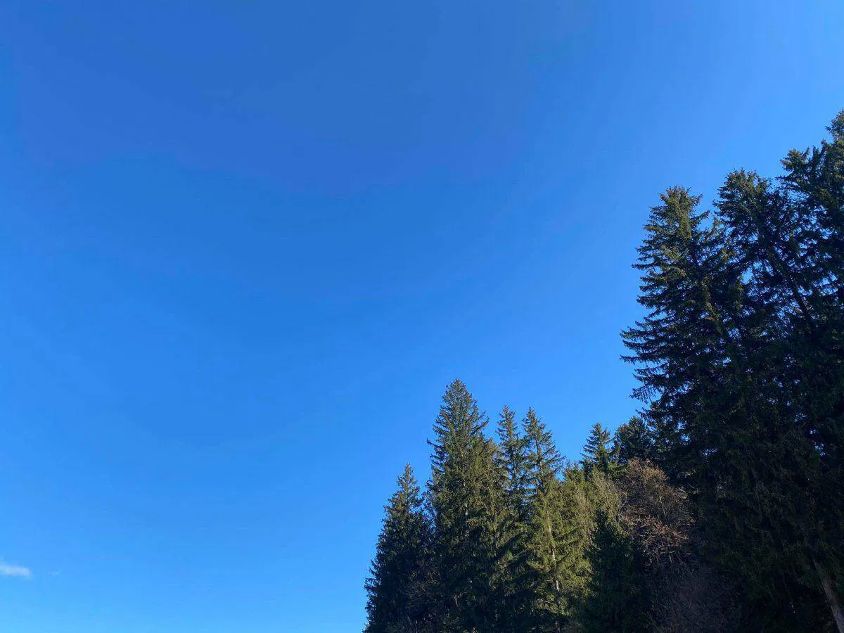 Pretežno jasno z možnostjo vročinskih neviht