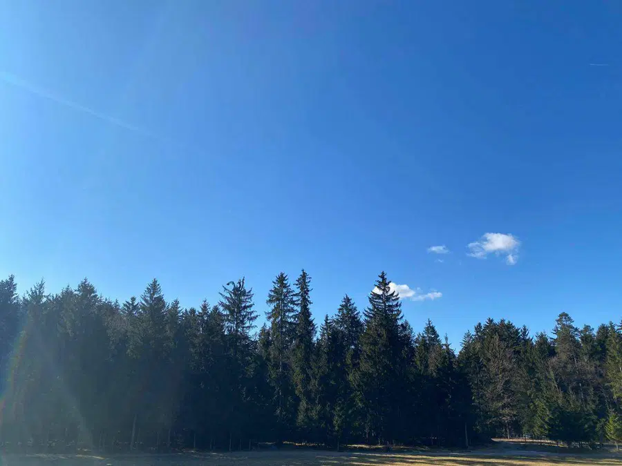 Vreme: Za vikend nevihte in topleje