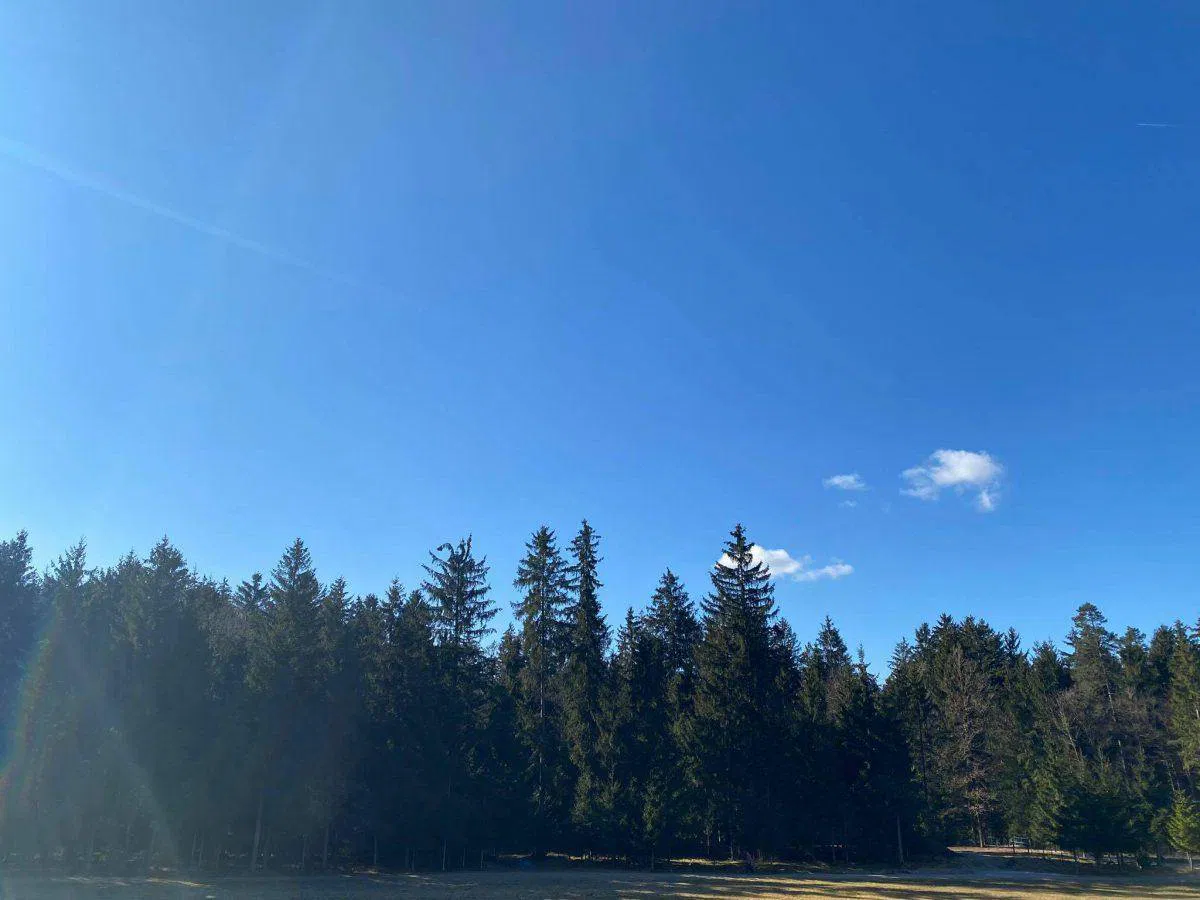 Vreme: Za vikend nevihte in topleje