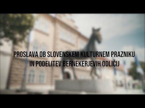 VIRTUALNA OBČINSKA PROSLAVA OB SLOVENSKEM KULTURNEM PRAZNIKU