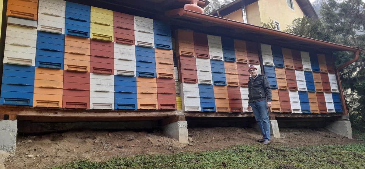 Najboljši med prideluje Srečko Verdinek iz Podvelke