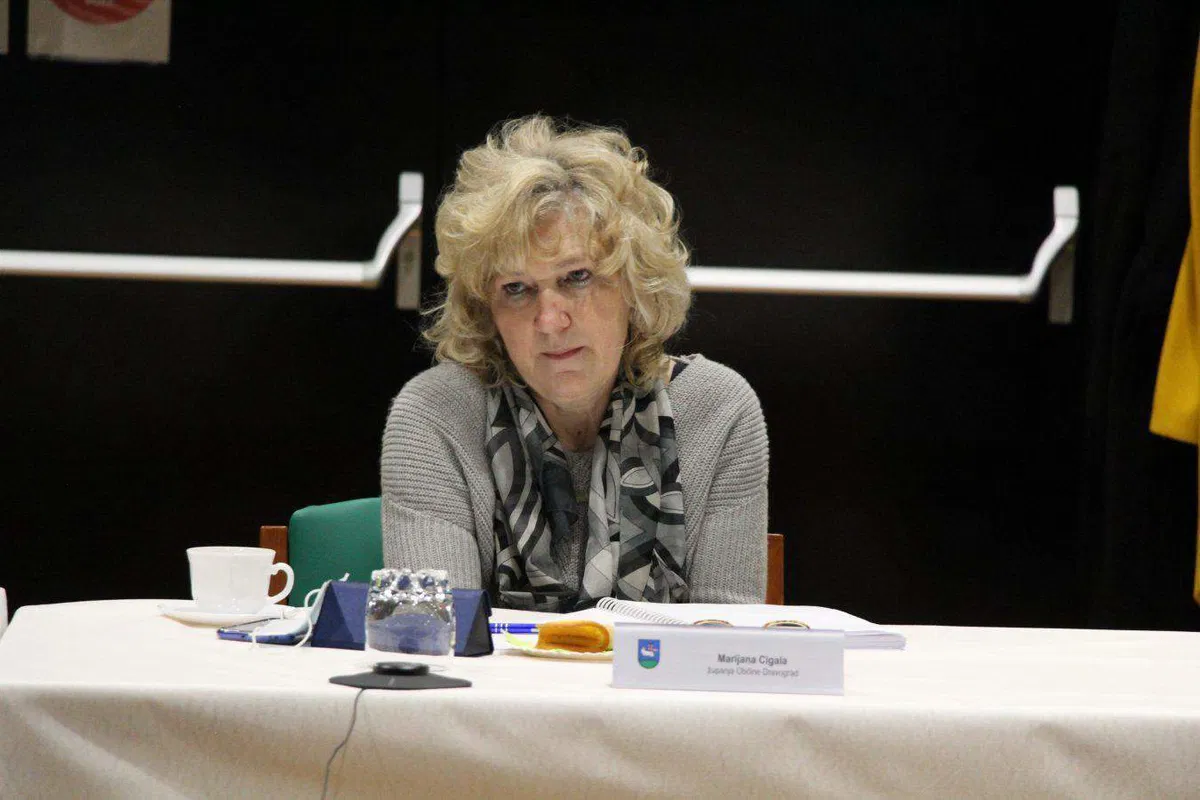 Na državnozborskih volitvah bo kandidirala tudi županja Dravograda. Kdo še?