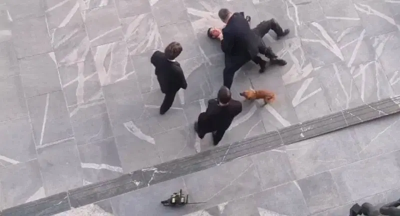 Moški prišel pred državni zbor s prižgano motorno žago in kričal "dovolj imam zapiranja"