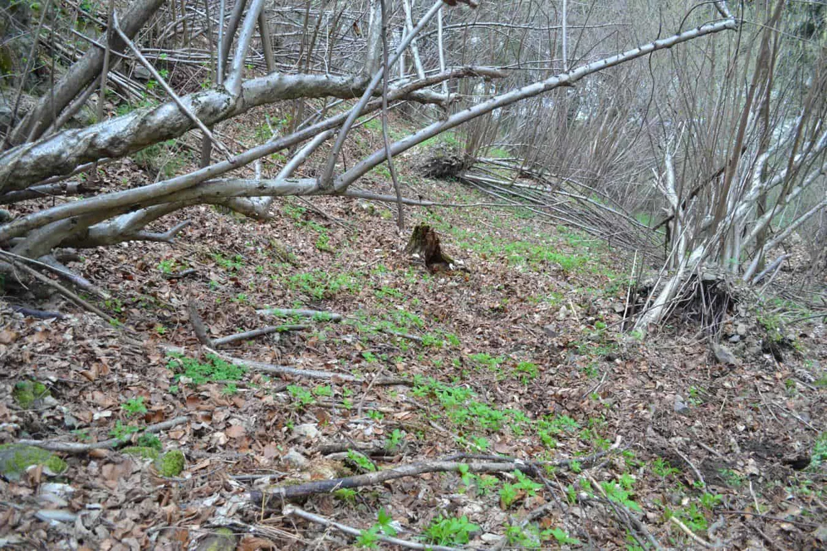 Policista s hitrim nudenjem pomoči rešila življenje 60-letnemu občanu