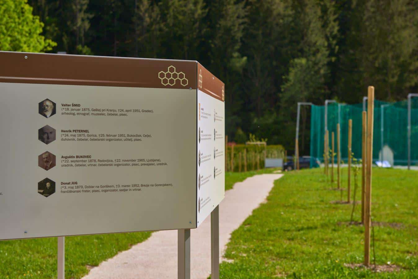 Črna bogatejša za lipov drevored (FOTO)