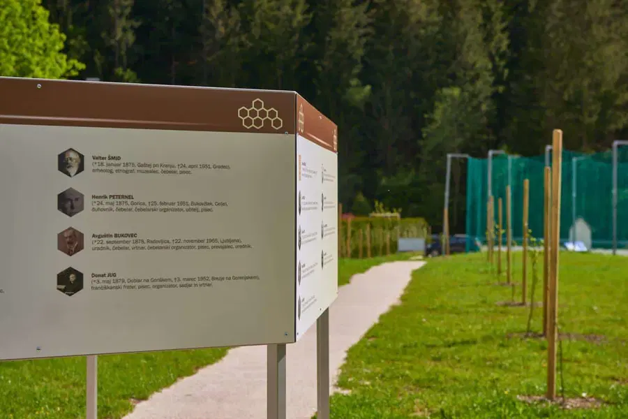 Črna bogatejša za lipov drevored (FOTO)