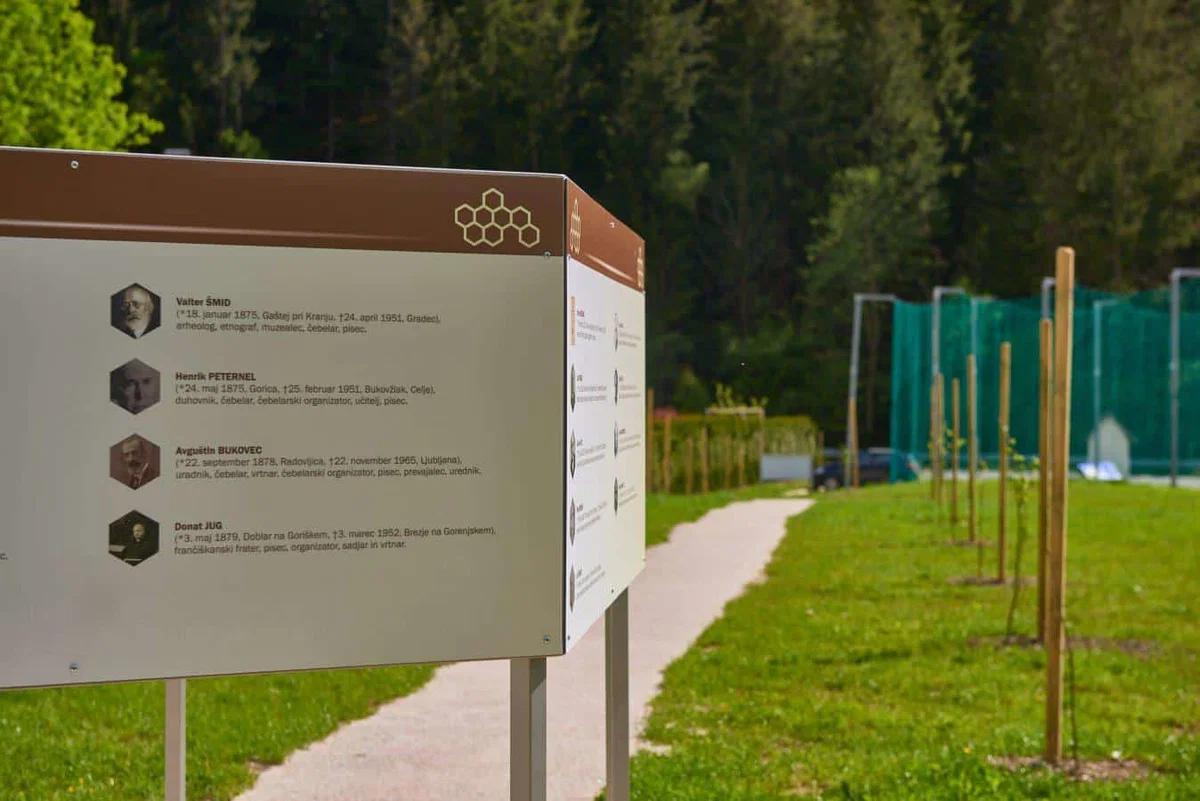 Črna bogatejša za lipov drevored (FOTO)