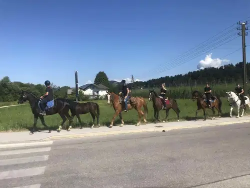Konjenica koroških kresničk se je podala na pot. Zaradi dogodka bo zaprta kolesarska steza