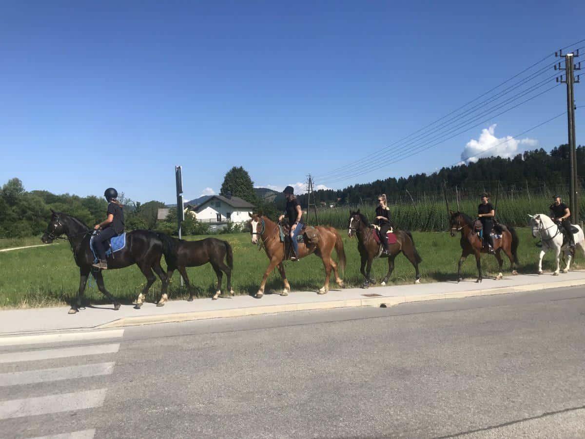 Konjenica koroških kresničk se je podala na pot. Zaradi dogodka bo zaprta kolesarska steza