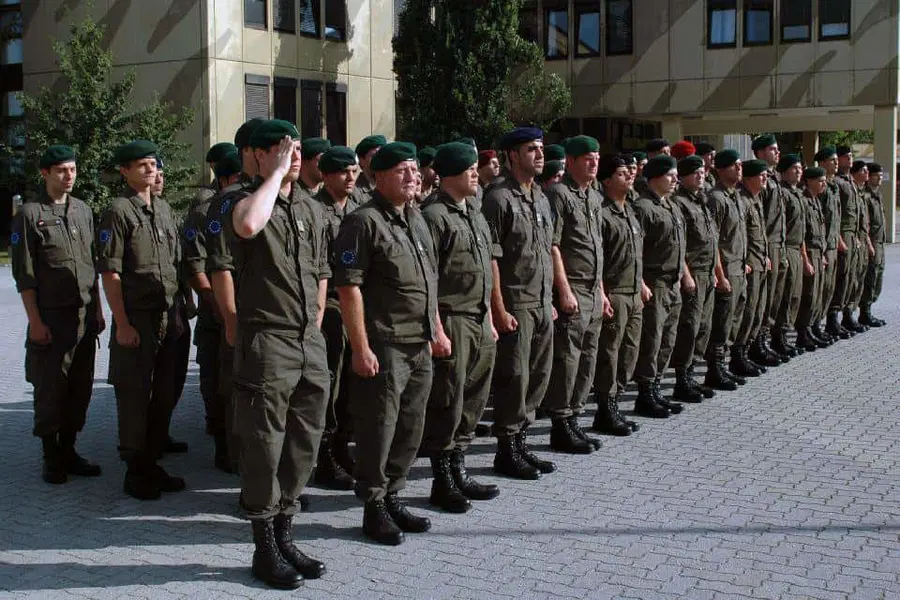 Avstrija ob povečanem vstopu migrantov na meje napotila dodatne vojake (dopolnjeno)