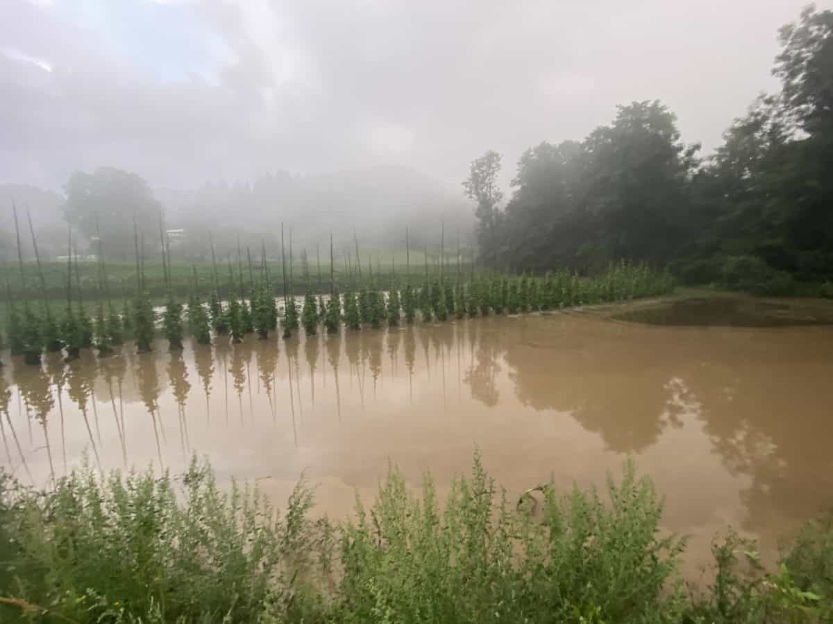 Zaradi naraščanja Mislinje v Slovenj Gradcu zatulile sirene. Občani naj poskrbijo za izvedbo zaščitnih ukrepov pred morebitnim poplavljanjem (VIDEO)