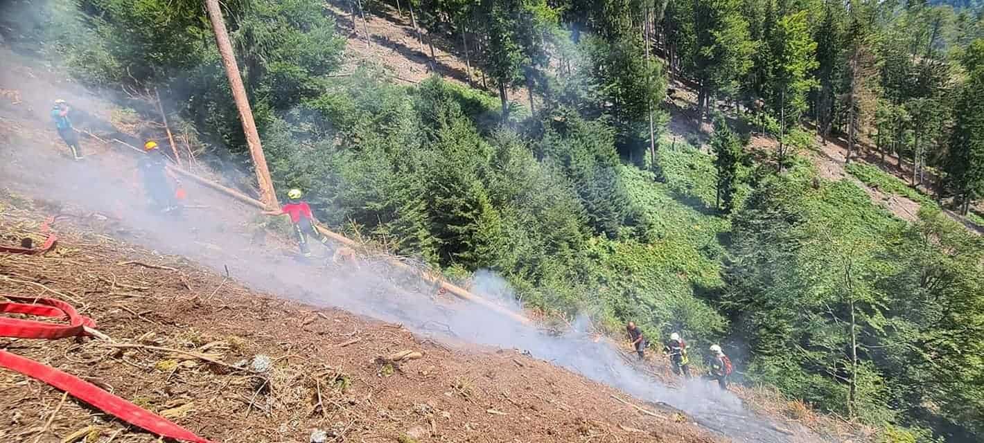 V Topli se z ognjenimi zublji bori preko 50 gasilcev (VIDEO in FOTO)