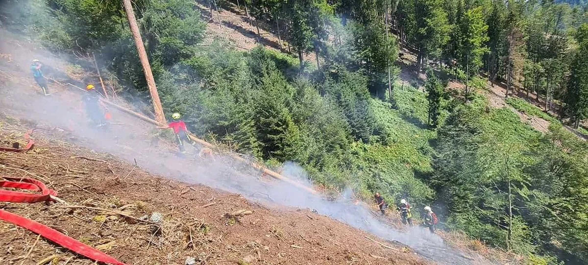 V Topli se z ognjenimi zublji bori preko 50 gasilcev (VIDEO in FOTO)