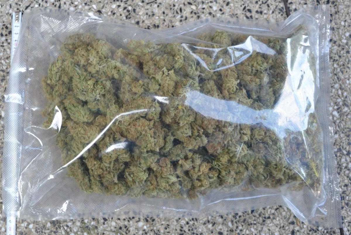 Na območju PU Celje zaradi suma storitve kaznivega dejanja s področja prepovedanih drog pridržali 20-letnika (FOTO)