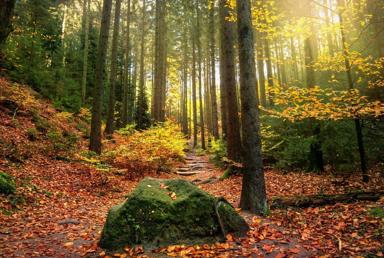Jesen prinaša še kar nekaj sončnih dni. Kakšnega hitrega začetka kurilne sezone še ne bo