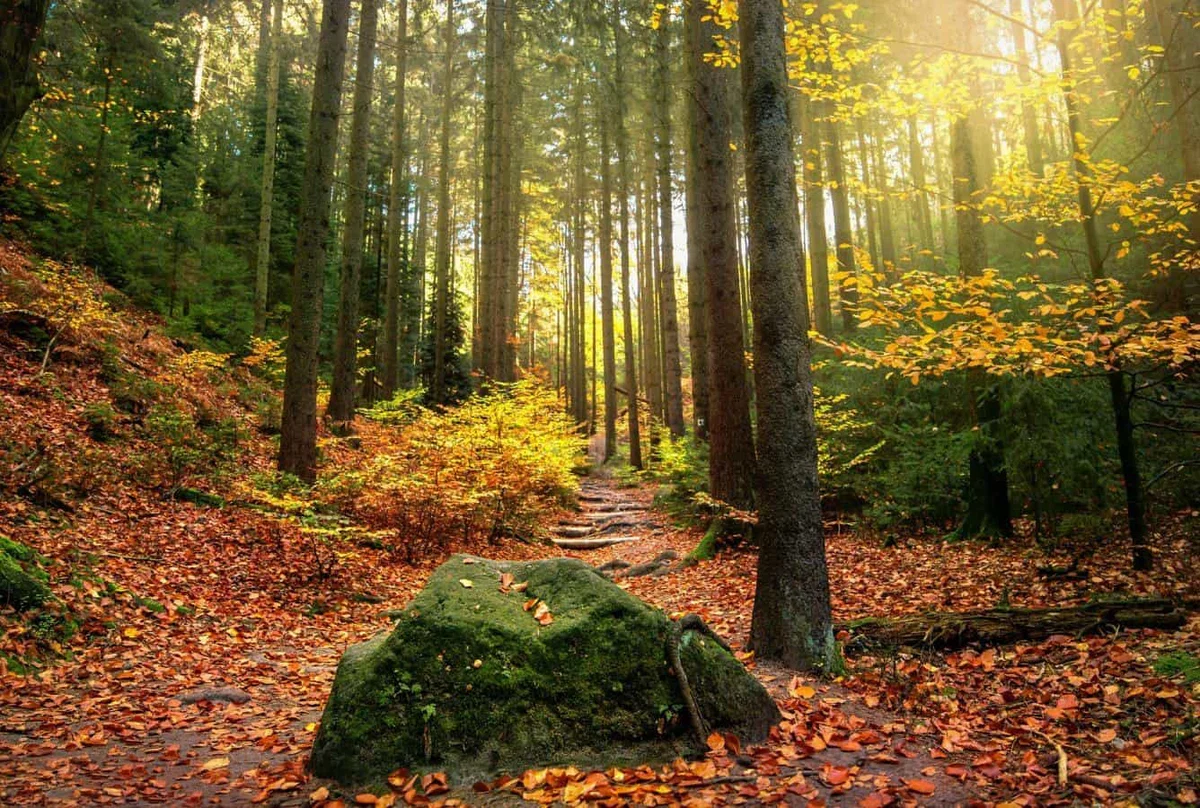 Jesen prinaša še kar nekaj sončnih dni. Kakšnega hitrega začetka kurilne sezone še ne bo