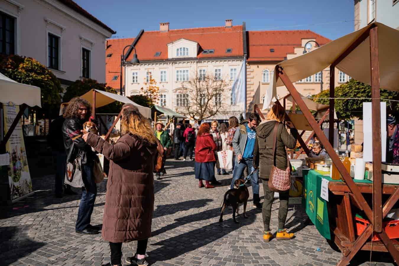 Na stojnicah v Slovenj Gradcu danes spet živahno. Na voljo tudi dobrote ekoloških kmetij (FOTO)