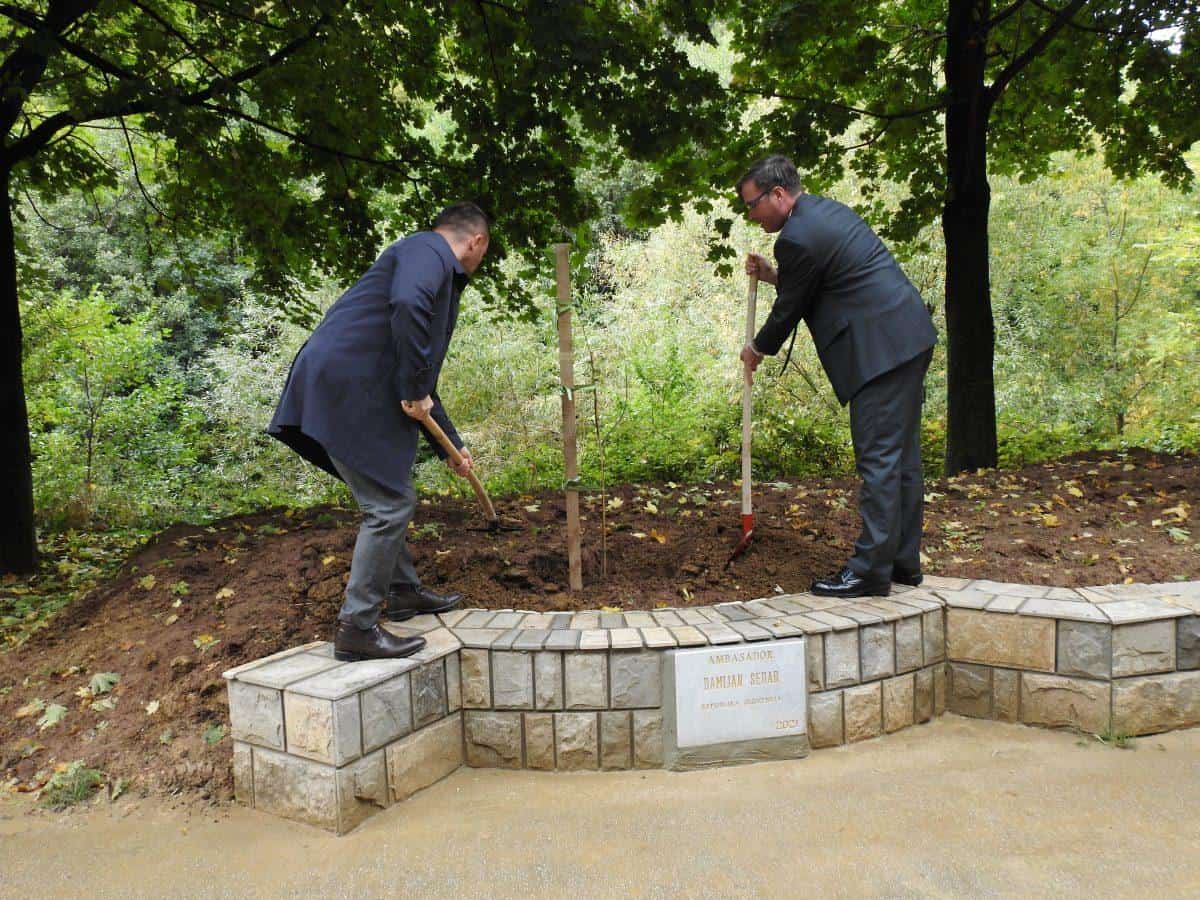 Veleposlanik Sedar zasadil sadiko Najevske lipe v Aleji veleposlanikov v Sarajevu (FOTO)