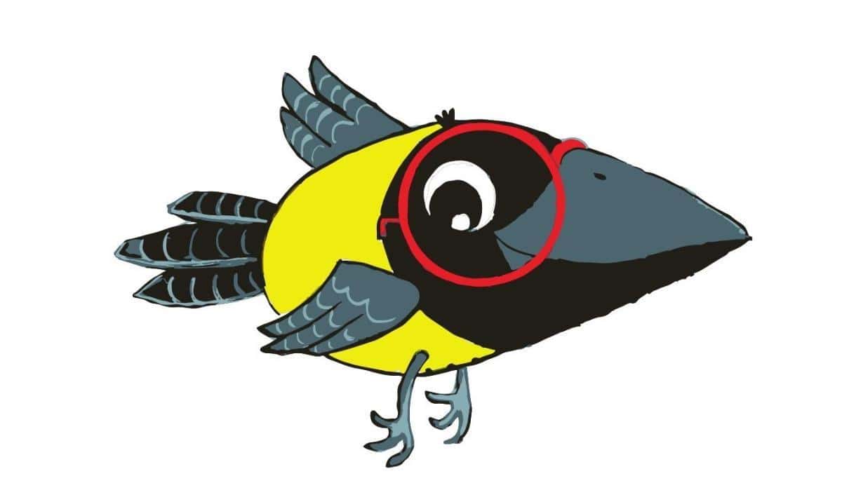 Prireditve in dogodki na Ravnah na Koroškem od 25. oktobra do 31. oktobra 2021