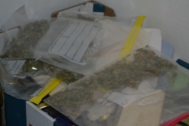 Na območju PU Celje zasegli dober kilogram posušenih delcev konoplje (FOTO)